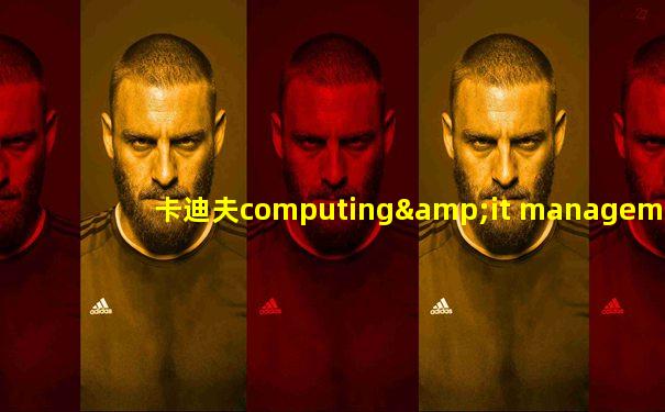 卡迪夫computing&it management